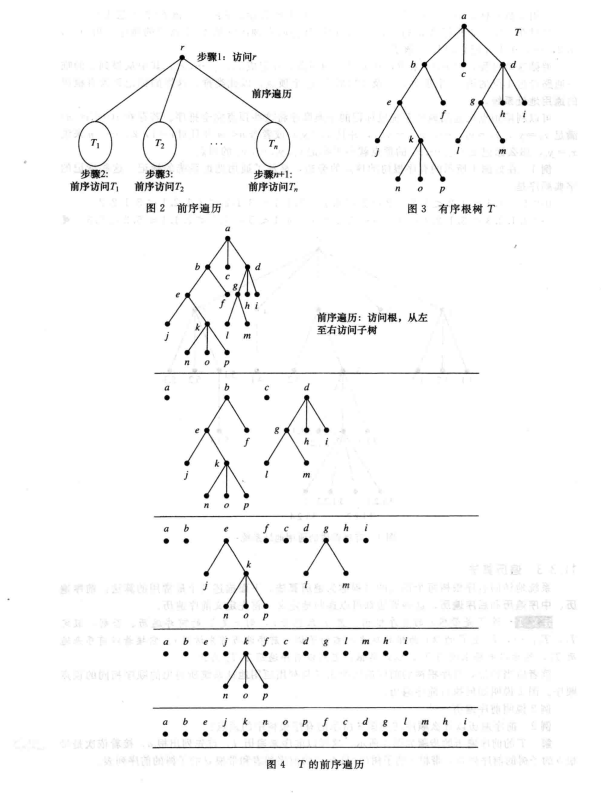前序遍历